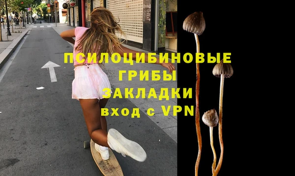 прущие крисы Алзамай