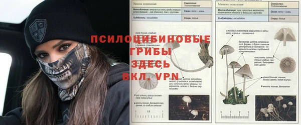 героин Алексеевка